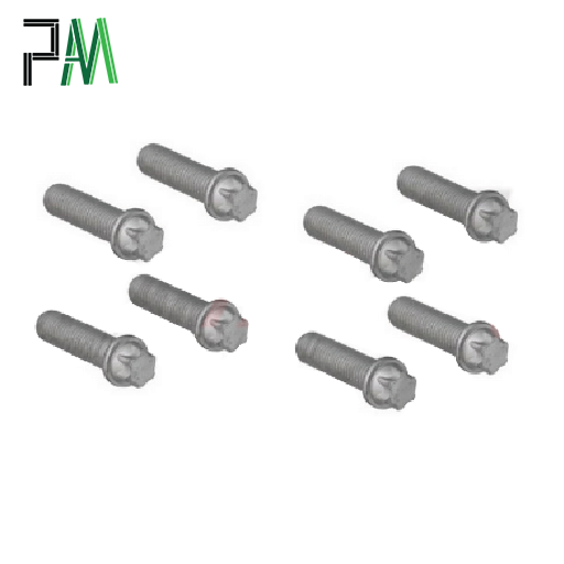 Caliper Allen screw