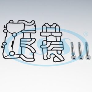 کیت اورینگ یونیت برق درب گیربکس - اویکو داف مان F.S.Sترکیه