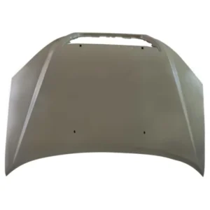 کاپوت ام وی ام X33
